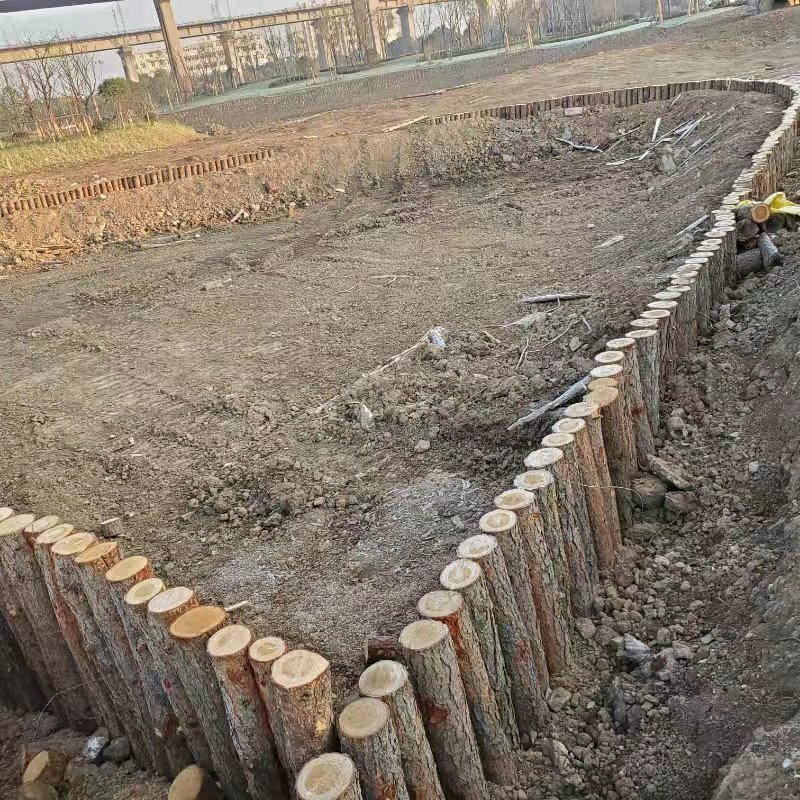 【全国送货】大量现货供应4米松木桩,河道工程打桩木,价廉质优