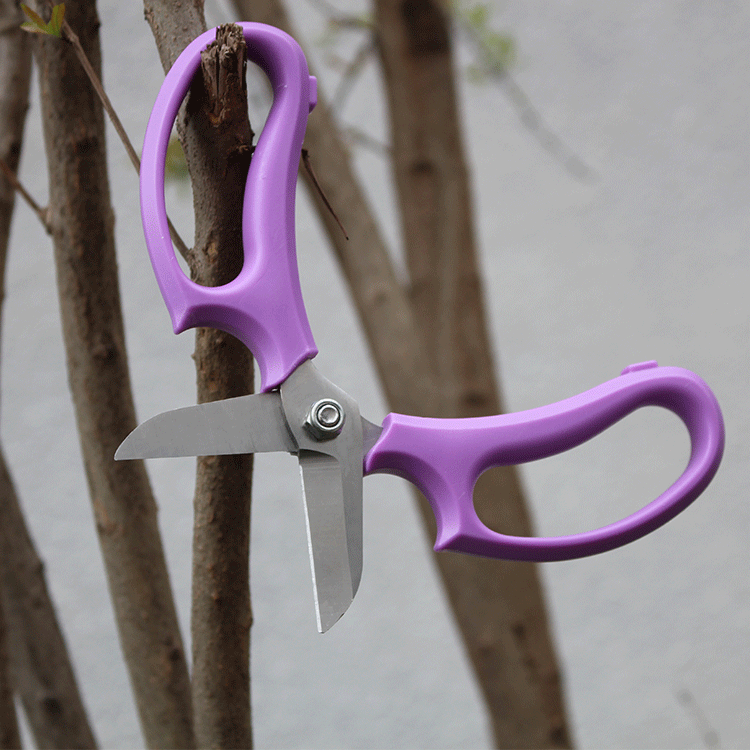 Factory Direct Sales Garden Shears Potted Pruning Gardening Scissors Household Flowers Scissors Pruning Tools