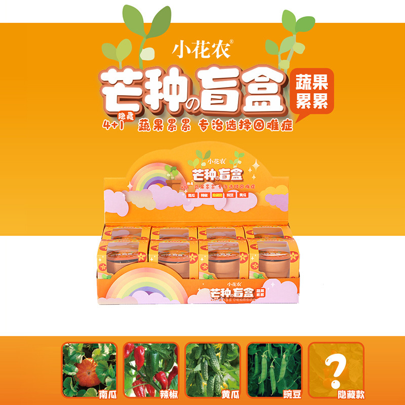 儿童种植小盆栽盲盒创意迷你植物科学实验益智幼儿园毕业礼品奖品