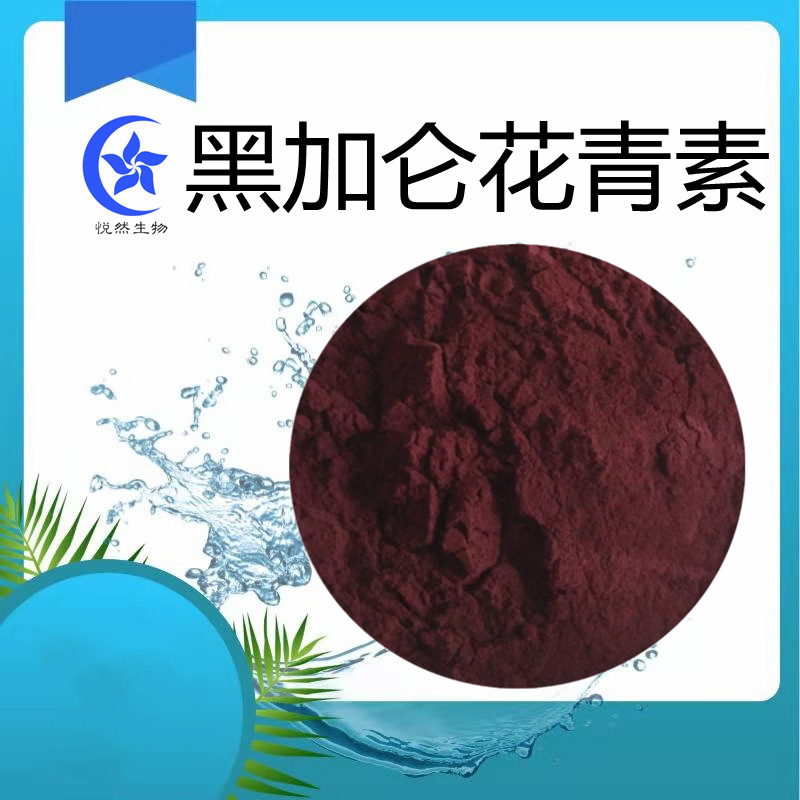 黑加仑花青素25% 黑加仑提取物 花青素粉 紫红色粉末 欧标 出口级