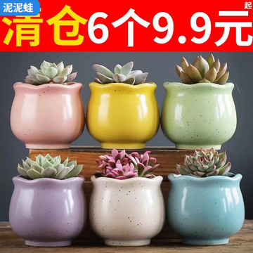 多肉花盆陶瓷创意粗陶创意多肉植物花盆大号紫砂肉肉小花盆栽