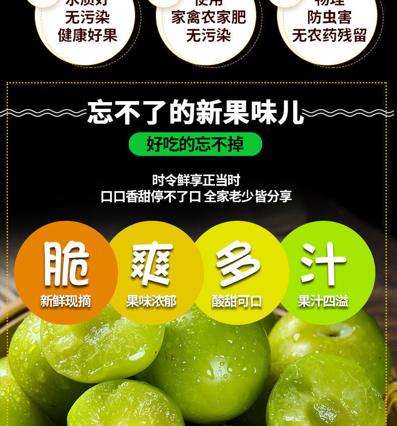 四川小脱骨李子半边红1/3/5斤装整箱包邮应季新鲜水果三华李