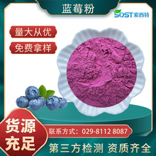 蓝莓粉野生oem商用 蓝莓果粉提取物食品级散装蓝莓粉花青素冻干粉
