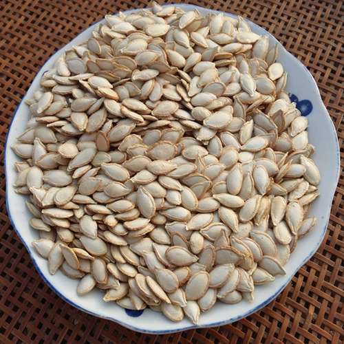 生南瓜子土南瓜籽随州洪山特产农家毛边南瓜子带壳原味新鲜生瓜子