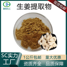 生姜提取物10:1 水溶性姜辣素 干姜/生姜粉 SC厂家食品级现货包邮