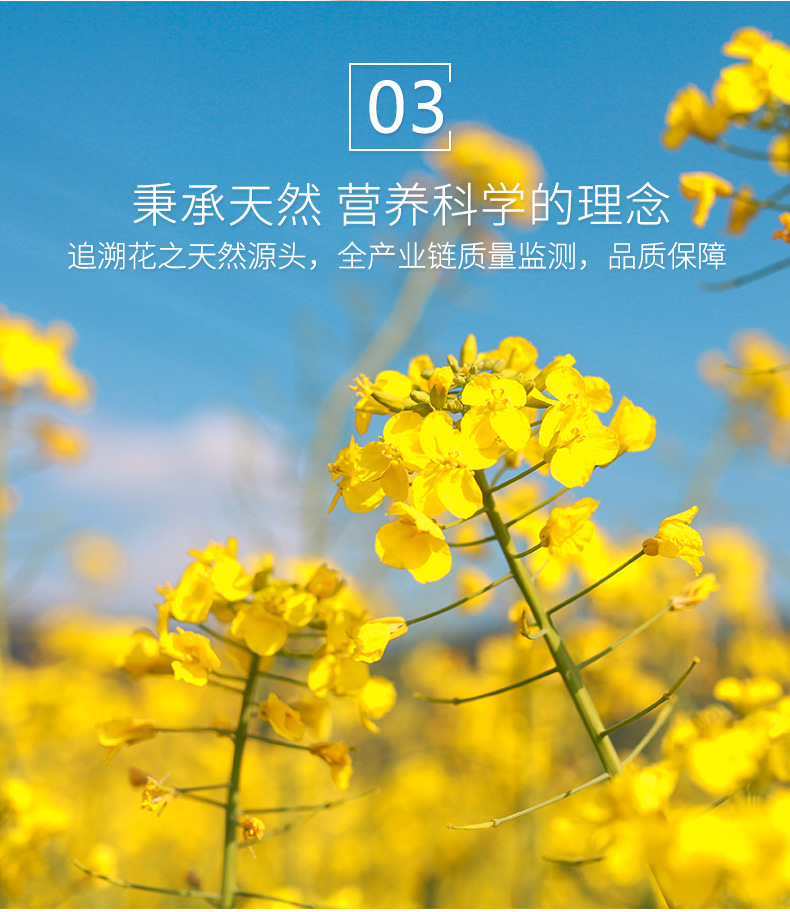 博康园品牌一级品盒装蜂王浆冻干粉现货批发零售源头厂家一手货源