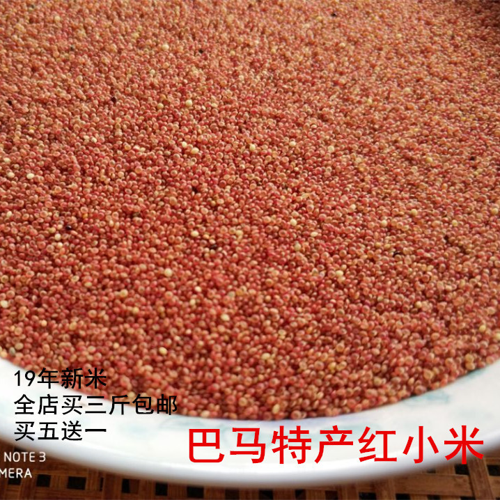 红小米粗粮