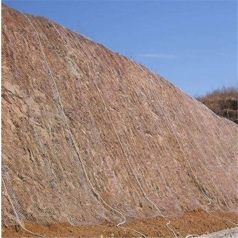 成都镀锌勾花网 喷土植草铁丝网 喷浆用铁丝网 双绞铁丝网