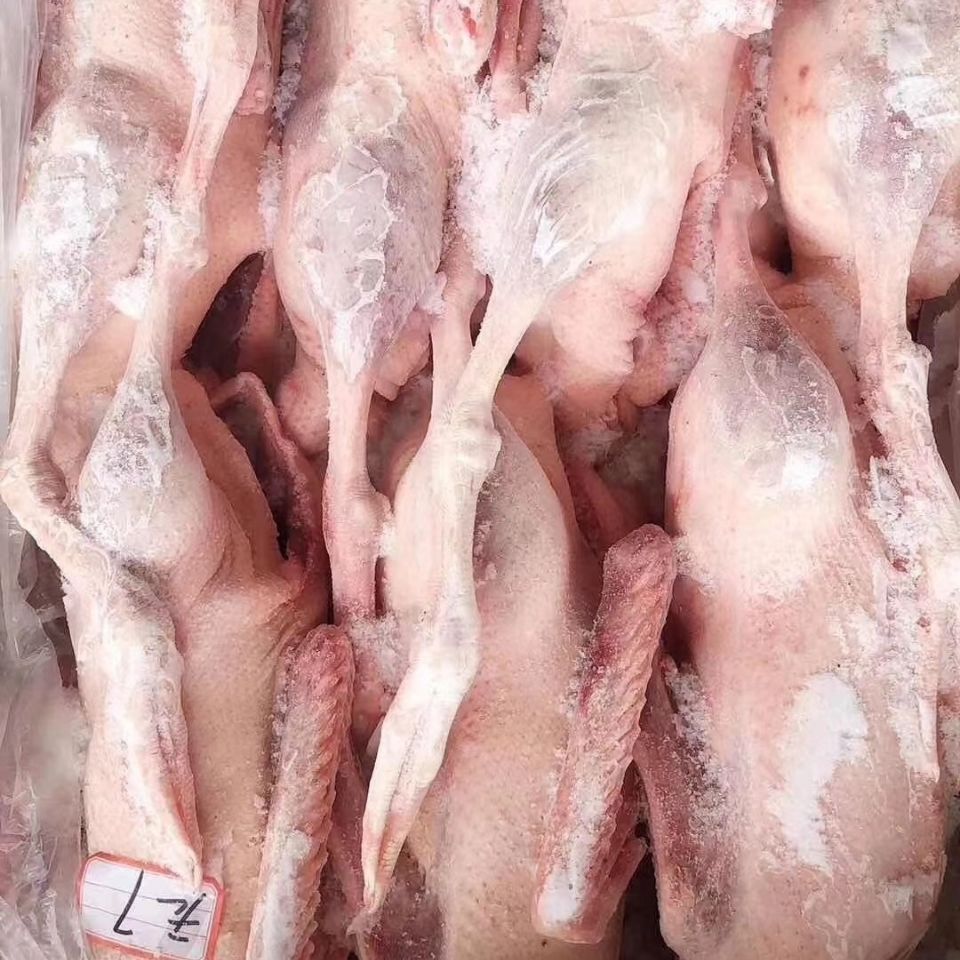 新鲜冷冻白条鹅整鹅全鹅光鹅大白鹅整箱40斤饭店卤菜食材