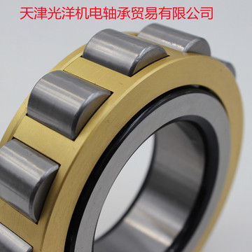 nsk轴承n310em n311em n312em n313em n314em n315em n316em n317