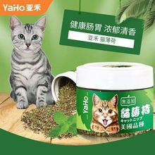 YaHo/亚禾 猫薄荷猫草猫零食薄荷球助排毛球清洁口腔薄荷草250ml