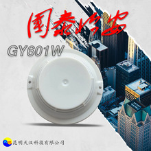 国泰怡安JTY-GM-GY601W光电感烟报警器探测器603W手报604W消报