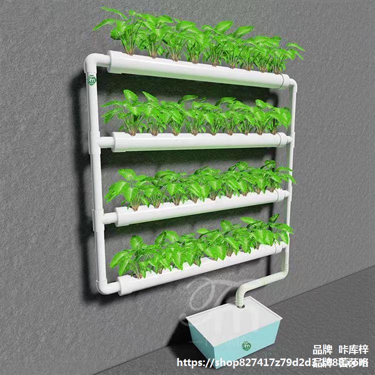 阳台种菜机 壁挂式管道水培蔬菜无土栽培设备自动水耕多层种植架