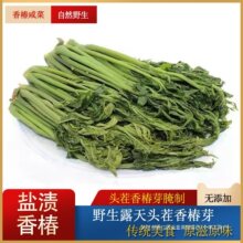 香椿芽咸菜山东特产新鲜腌制香椿头茬红香椿芽盐渍下饭菜酱菜