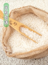 珍珠米5kg东北大米10斤装长粒香大米当季新米圆粒粳米
