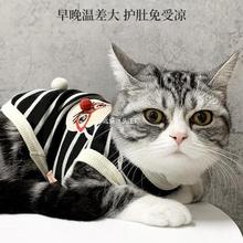 猫咪衣服春秋款公猫蓝猫薄款宠物小猫秋冬冬季新年秋冬装背心