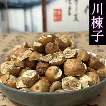 批发中药材 川楝子 川莲子 川连子 实物拍摄