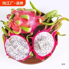 进口白心火龙果新鲜水果9斤金都整箱一号当季现摘蜜宝心大果