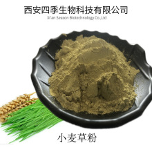 供应小麦草提取物  99% 小麦草粉 小麦草纯粉 品质保障 厂家包邮