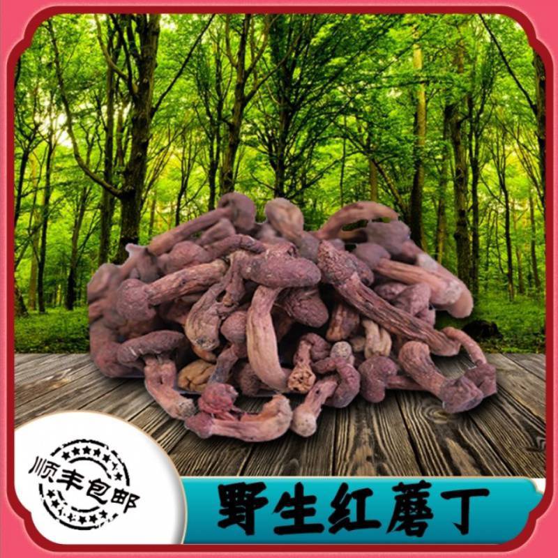 野生红蘑松树伞肉蘑松树丁松树蘑柳丁蘑自然晒干东北特产精选分类