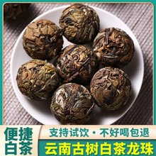 云南普洱茶古树白茶龙珠批发冰岛白茶大叶种白茶手工沱茶500克袋