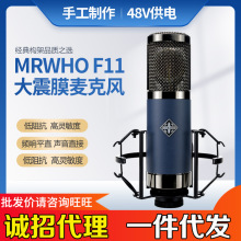 MRWHO/烟头F11大震振膜电容麦克风话筒晶体管录音直播K歌主播套装