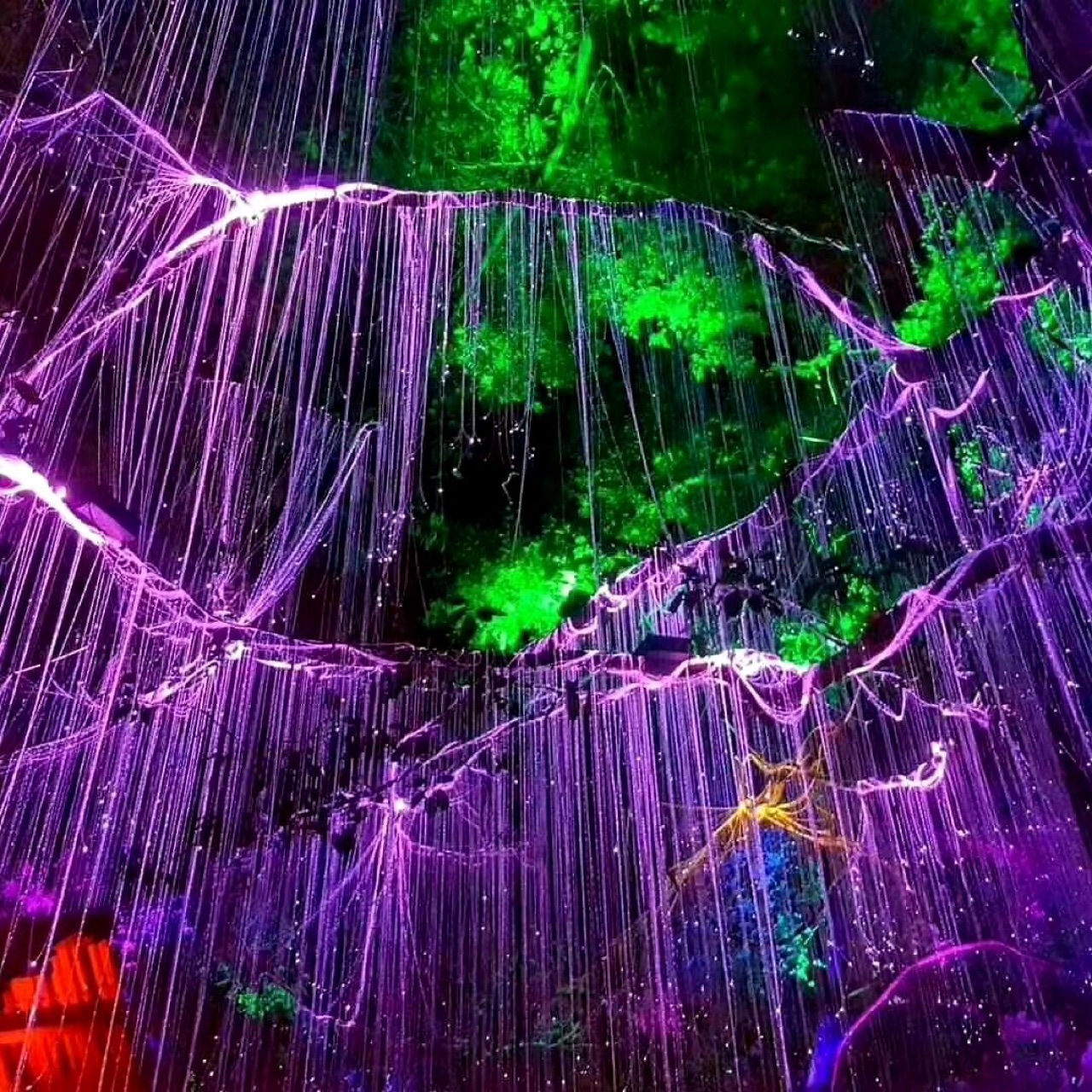 光纤灯 户外光纤亮化 生命之树 星空顶 网红光纤灯 七彩光纤灯