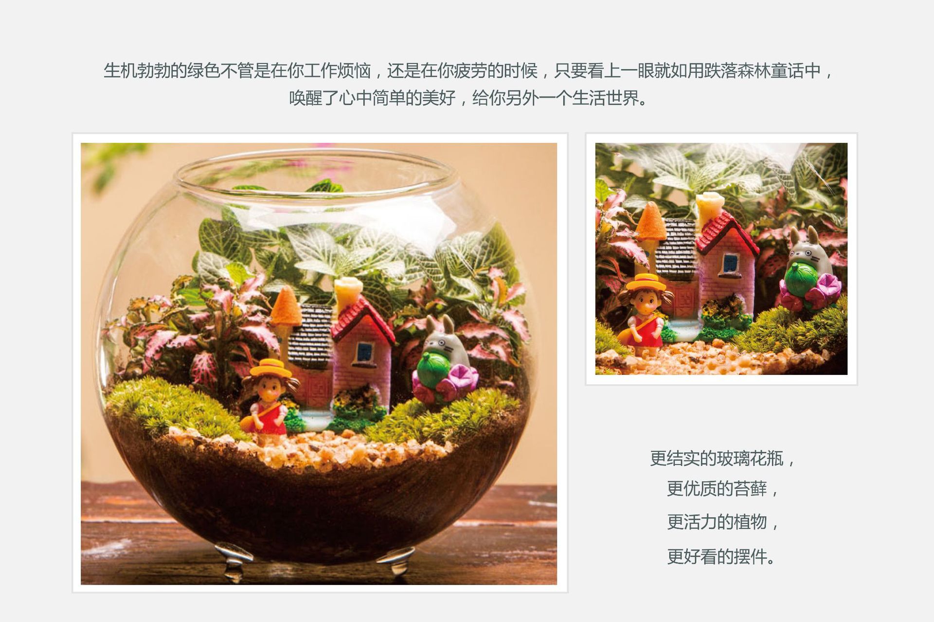 玻璃苔藓小瓶 微景观生态瓶 创意礼品礼物植物世界温馨小屋批发