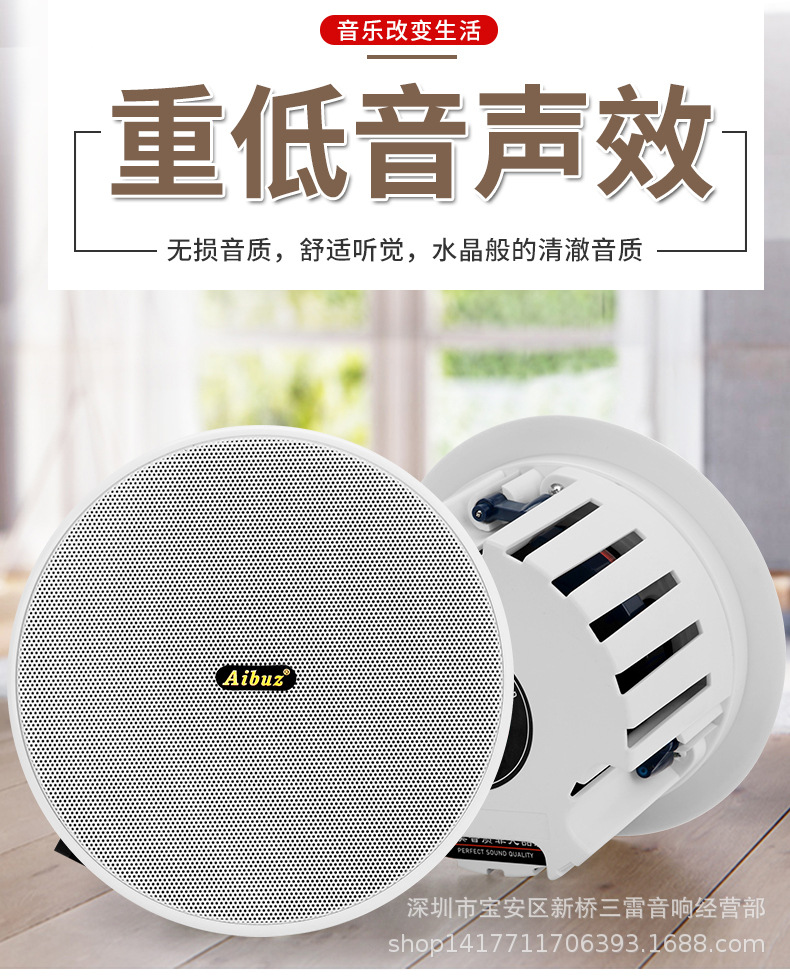 无线蓝牙吸顶音响吊顶天花喇叭壁挂音箱室外防水音柱吊球店铺家用
