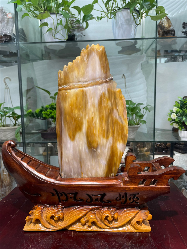 缅甸树化玉摆件天然树化石原石木化玉奇石木化石硅化木家居57714