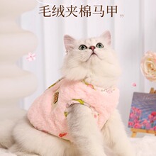 猫咪衣服冬季保暖宠物马甲布偶幼猫金渐层防掉毛猫猫小猫冬天衣服