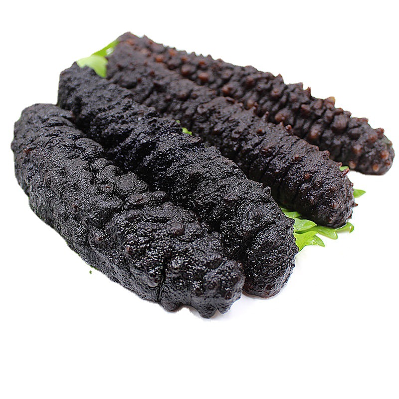 90只包邮即食米刺海参水发小海参海捕海参小米参小包装非大连辽参