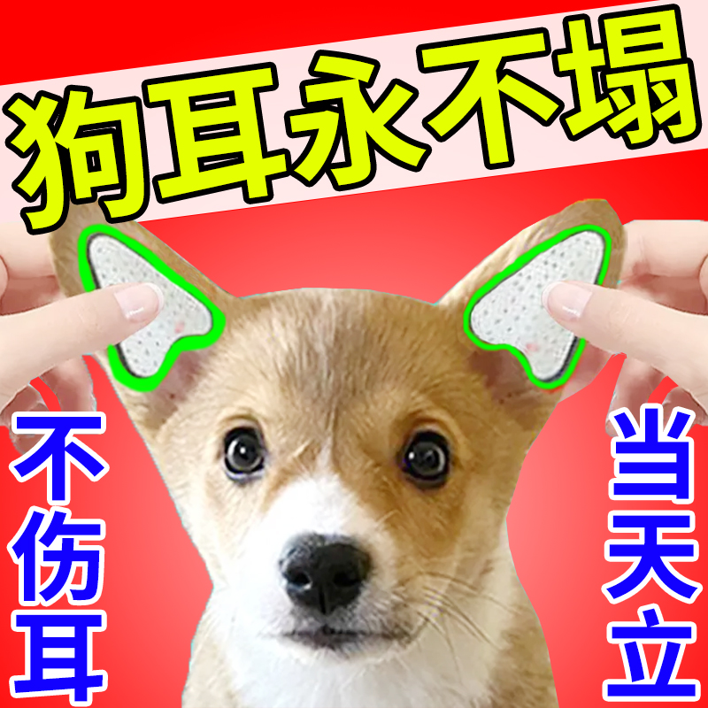 狗狗立耳杜宾德牧雪纳瑞黑狼犬幼犬小狗竖耳立耳贴固定辅助器