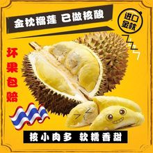 泰国进口新鲜金枕头榴莲当季热带水果整个带壳现货包邮非猫山王