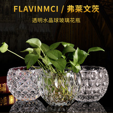 创意绿萝水培植物透明玻璃花瓶家用客厅装饰品水养插花器皿摆件
