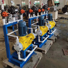 自动加药装置污水处理一体 锅炉机械设备 装置机械隔膜计量泵厂家