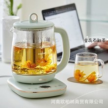 小熊YSH-B18D8养生壶1.8L热水壶煮茶器 煮茶壶 电水壶保温煮茶壶