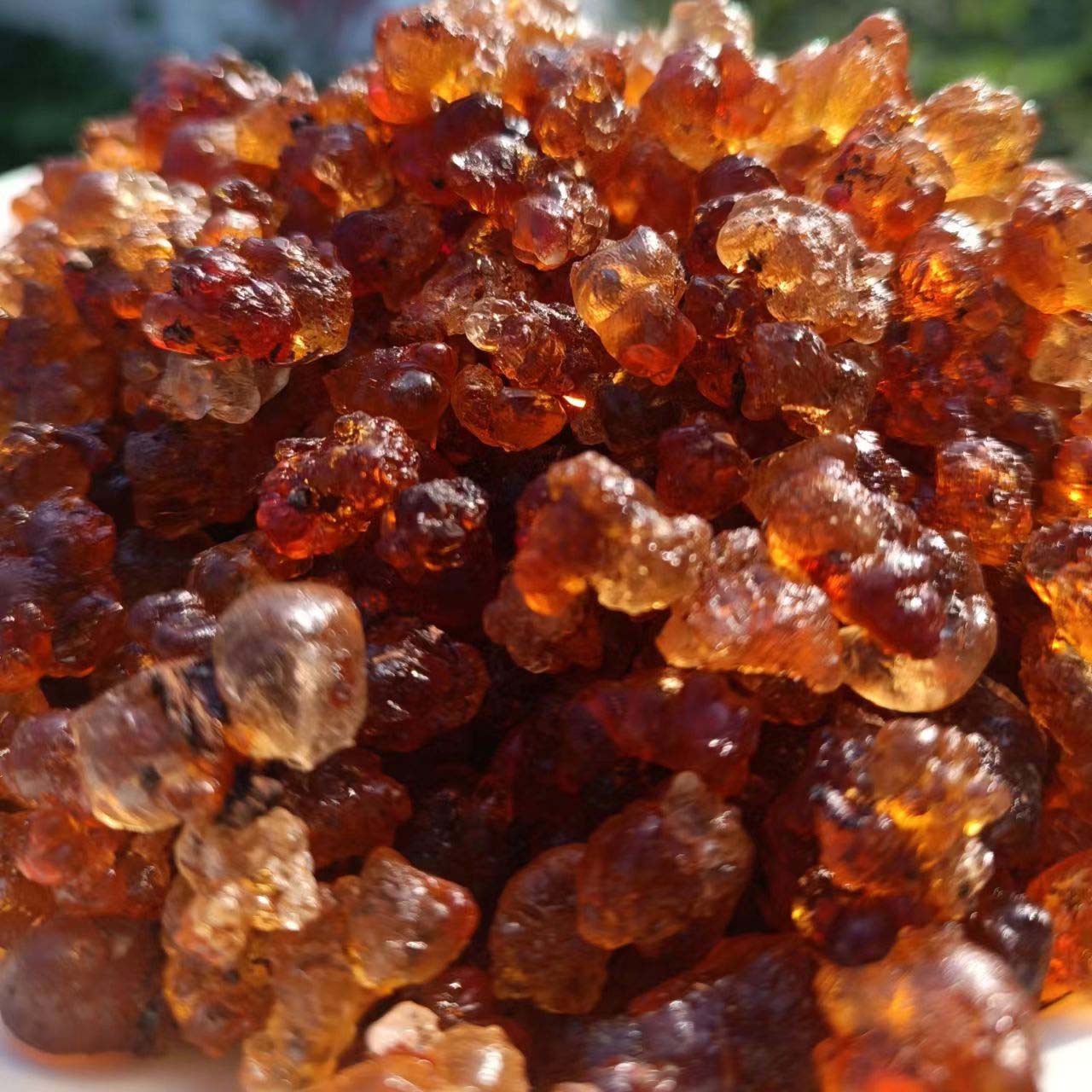 水洗黄桃胶小颗粒500g人工手选 食用桃树胶好泡发 小包装桃胶优选