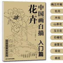 花卉 入门篇 中国画白描国画描摹本线描梅兰竹菊牡丹荷花水仙花