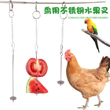 厂家批发亚马逊鹦鹉可悬挂不锈钢链条水果叉玉米叉鸡鸭喂食配件