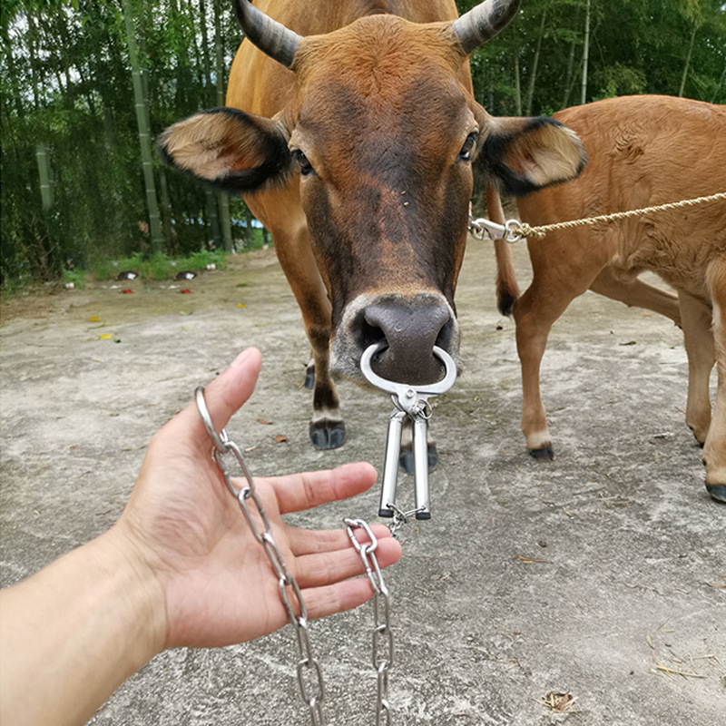 长柄牛鼻钳精品兽用带链牛鼻钳子牛保定器绑定牵引牛鼻夹牛鼻环圈