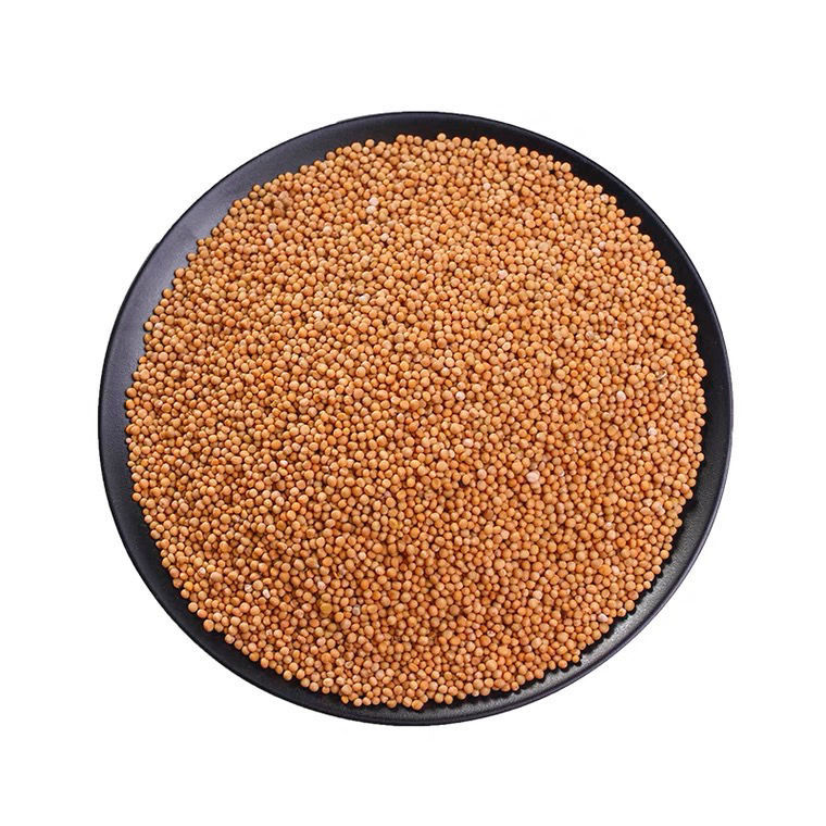 白芥子100g包邮 白介子辣菜子芥菜子白芥籽炒500g