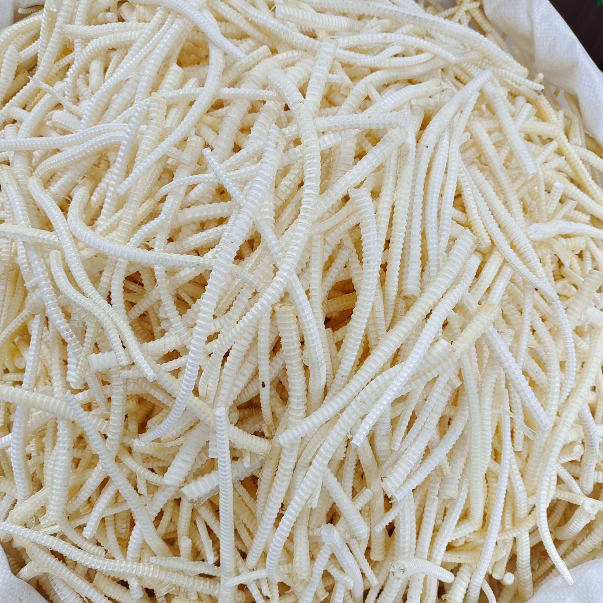 鱼翅骨大小骨圆骨软骨海鲜干货海味批发 一件代发一德路海味行