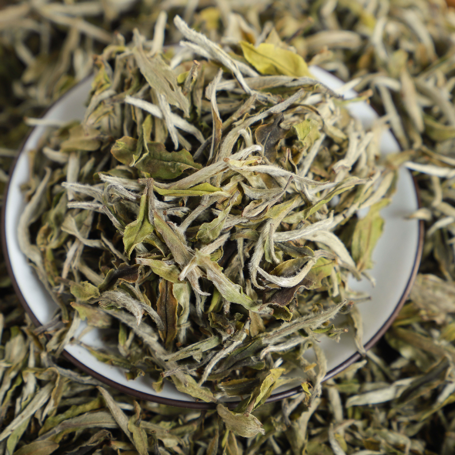 2021年福鼎管阳春茶花香白牡丹高山日晒白茶散茶装500克厂家直供