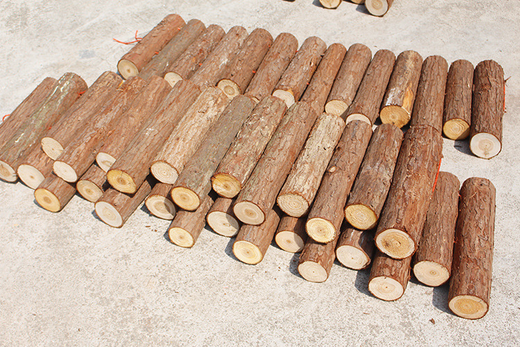 实木树桩 圆木篱笆木桩 原木隔栏 杉树桩 木段 婚礼摆件小木墩子