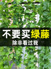 绿植藤条绿萝叶空调管道装饰美化管子遮挡假花塑料花藤假树叶