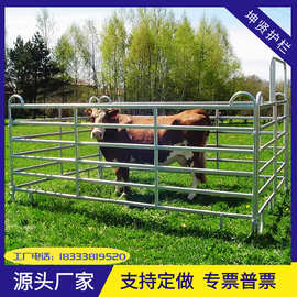 畜牧围栏