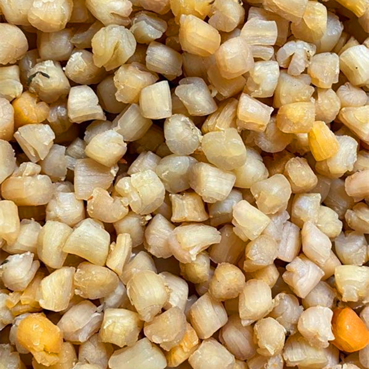 产地批发 600头瑶柱干贝 扇贝干海产品干货 一件代发 500克