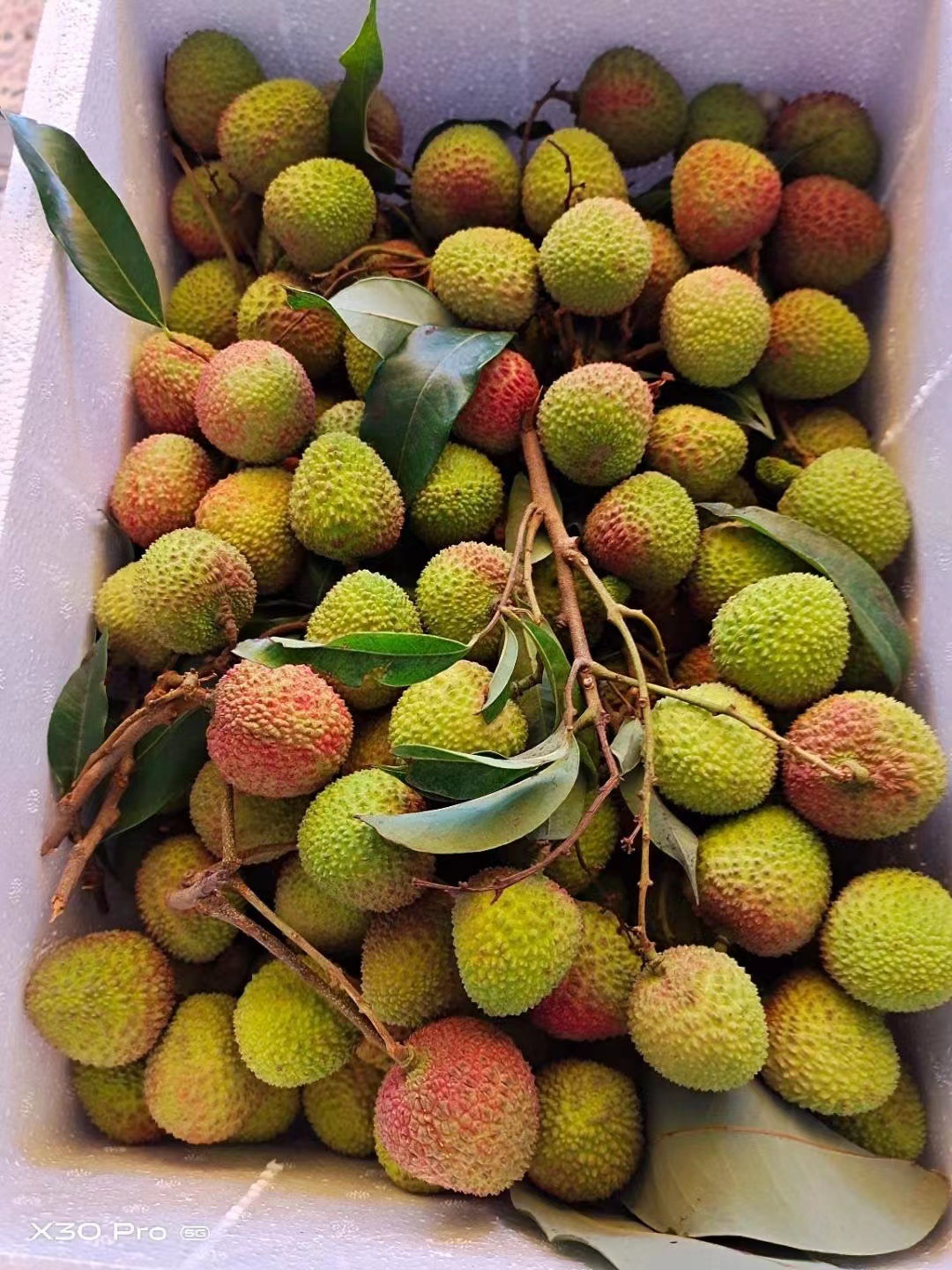 (顺丰空运)2022新鲜荔枝 5斤装新鲜妃子笑荔枝水果香甜多汁带箱