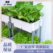 室内蔬菜种植盆多层组合种菜立体自吸水盆家庭阳台长方形塑料绿植